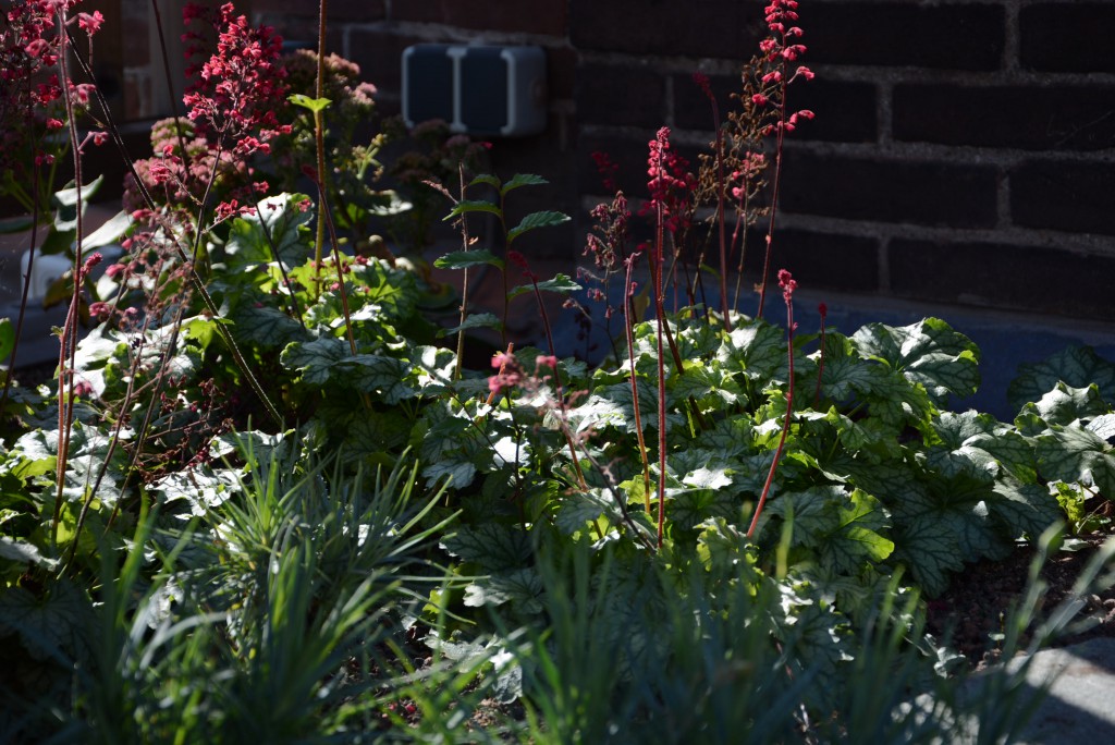 Christina Fuchs roof garden delights