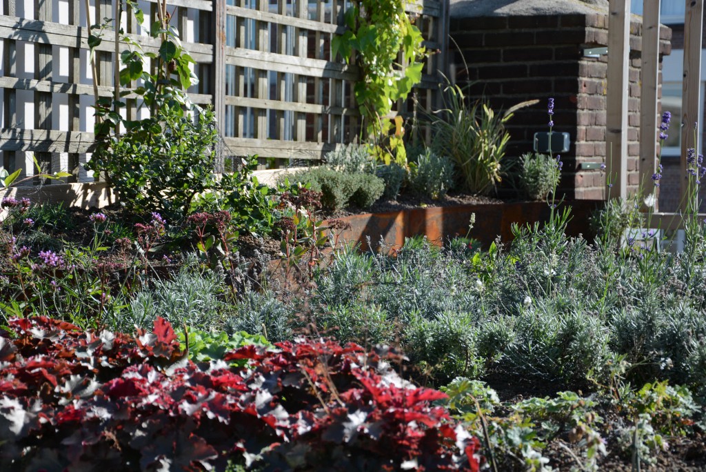 Christina Fuchs rooftop garden