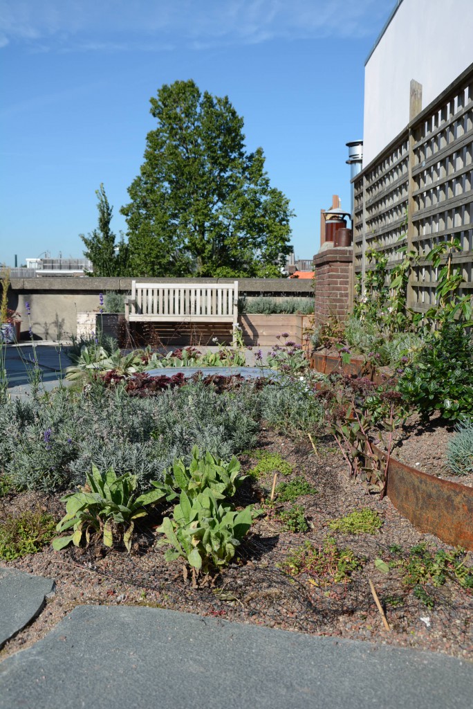 Christina Fuchs rooftop garden Amsterdam